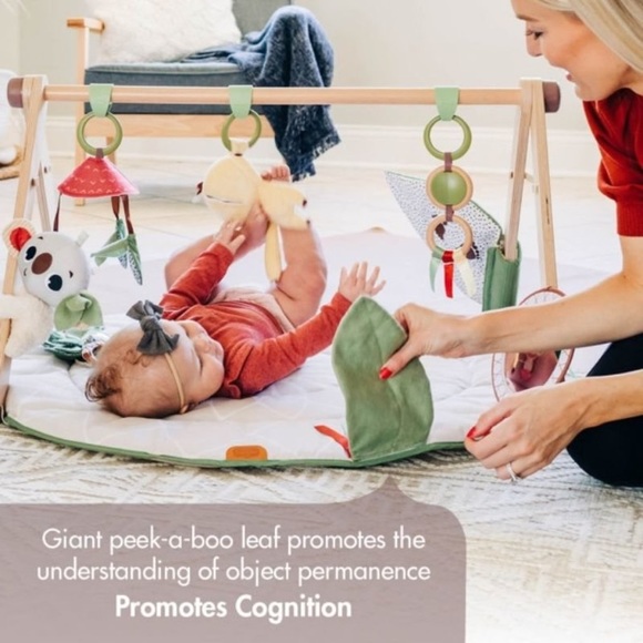 BOHO CHIC LUXE DEVELOPMENTAL GYMINI - Play Gym Newborn 0m-36m by Tiny Love - Picture 6 of 9
